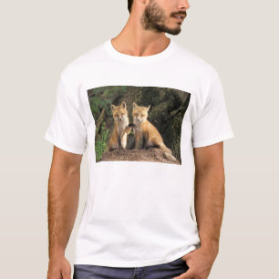 Camiseta Red Fox de cachorro frente a den Vulpes vulpes)