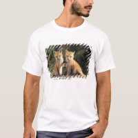 Red Fox de cachorro frente a den Vulpes vulpes)