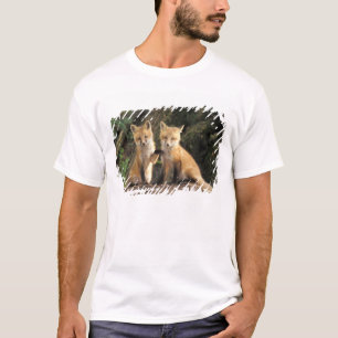 Camiseta Red Fox de cachorro frente a den Vulpes vulpes)
