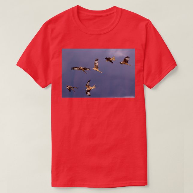 Camiseta Red Kites Premium TShirt (Diseño del anverso)