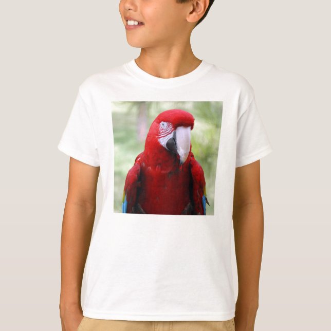 Camiseta red-macaw10x10 (Anverso)