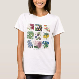 Camiseta Redoute botánico 