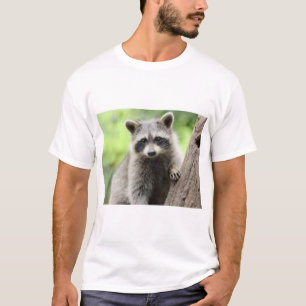 Camiseta Refinado busca al valiente caballero