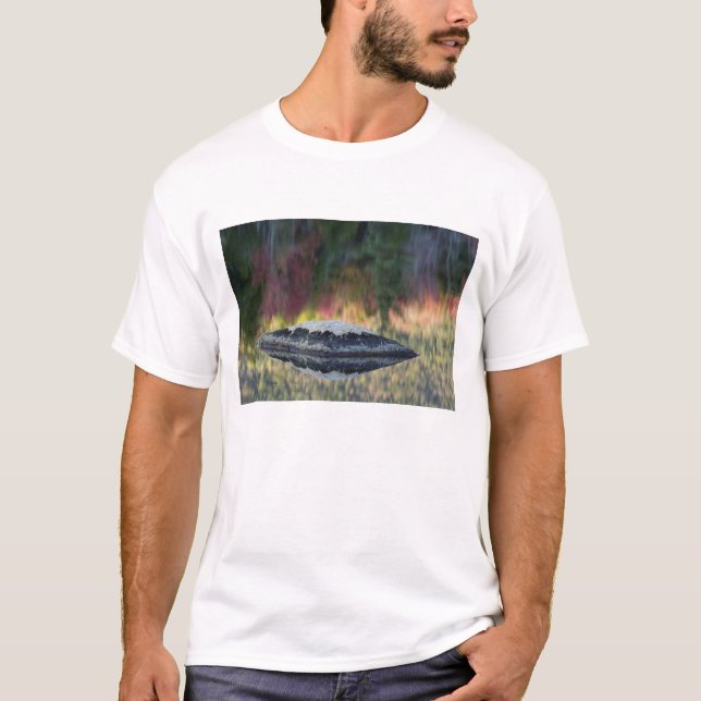 Camiseta Reflejo de rocas y árboles, Lily Pond, Blanco (Anverso)