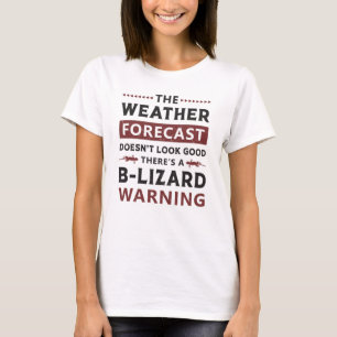 Camiseta Regalo de Lizard Reptile Gecko Reptiles Animal Dra