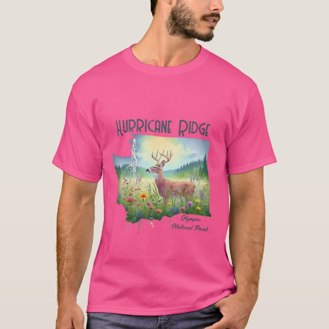 Camiseta Regalo de recuerdo del parque nacional Hurricane R (Anverso)