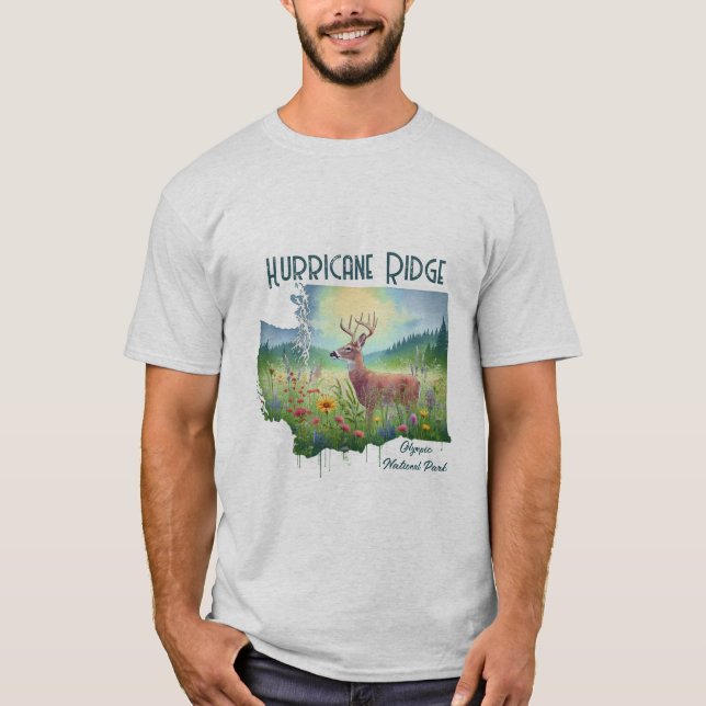 Camiseta Regalo de recuerdo del parque nacional Hurricane R (Anverso)