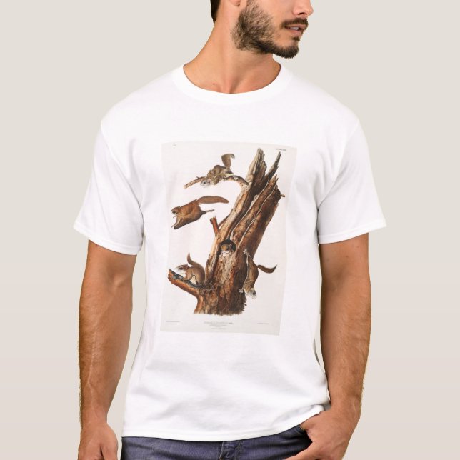 Camiseta Regalos de cemento de cañón de ardilla voladora (Anverso)