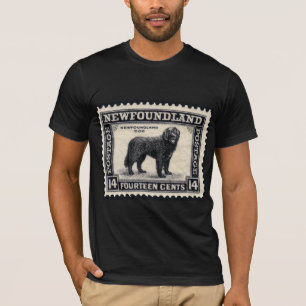 Camiseta Regalos para perros Terranova