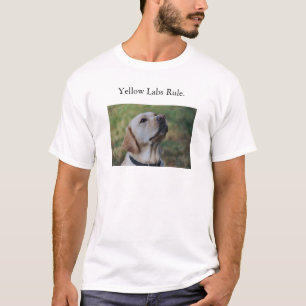 Camiseta Regla amarilla de los laboratorios