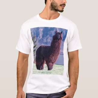 Camiseta regla de las alpacas