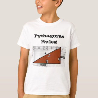 CAMISETA ¡REGLAS PYTHAGORAS!