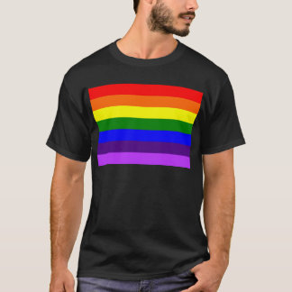 Camiseta Regnbågsflaggan // Rainbow flag