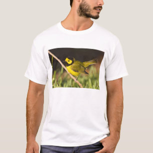 Camiseta Reinita Coronada Wilsonia citrina)
