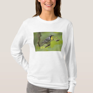 Camiseta Reinita de garganta amarilla macho, Dendroica