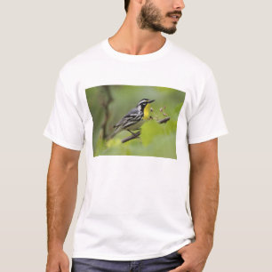 Camiseta Reinita Gorgiamarilla Macho, Dendroica