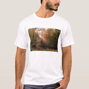 Camiseta Reino Unido. Bosque de Dean. Rayo de sol que penet
