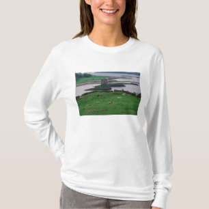 Camiseta Reino Unido, Escocia, Isla de Skye, antiguo