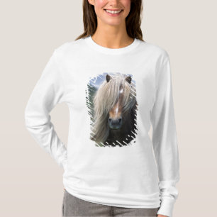 Camiseta Reino Unido, Escocia, Islas Shetland, pony de Shet