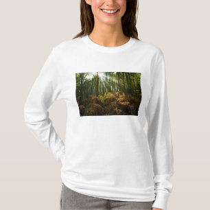 Camiseta Reino Unido, Inglaterra. Rayos de sol que se filtr