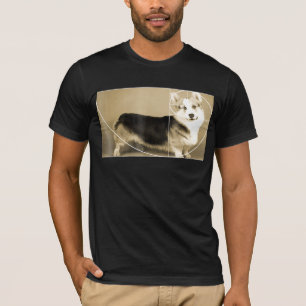 Camiseta Relación dorada Corgi Fibonacci Tee de matemáticas