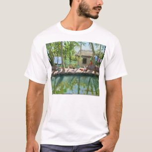 Camiseta Remansos la India