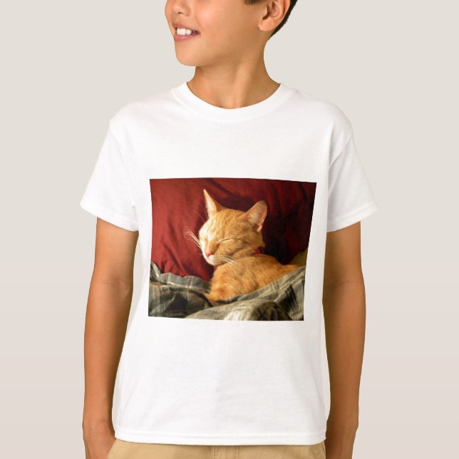 Camiseta Remetido adentro (Anverso)