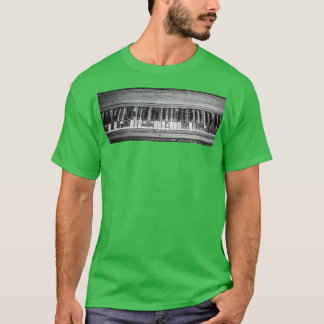 Camiseta Reproducida