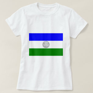 Camiseta República de la bandera de Jämtland (oficiosa)