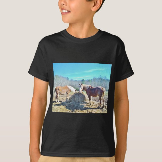 Camiseta Rescatados Caballos Borradores comiendo heno (Anverso)