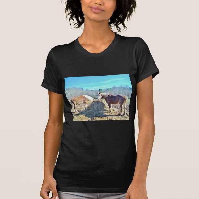 Camiseta Rescatados Caballos Borradores comiendo heno (Anverso)