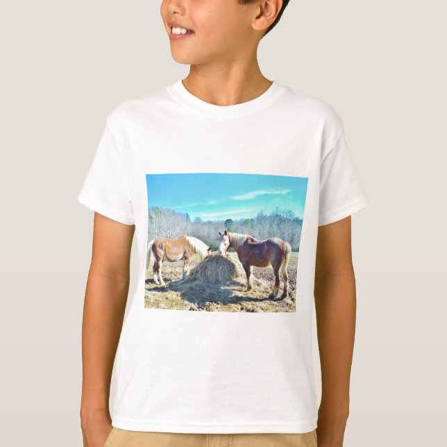 Camiseta Rescatados Caballos Borradores comiendo heno (Anverso)