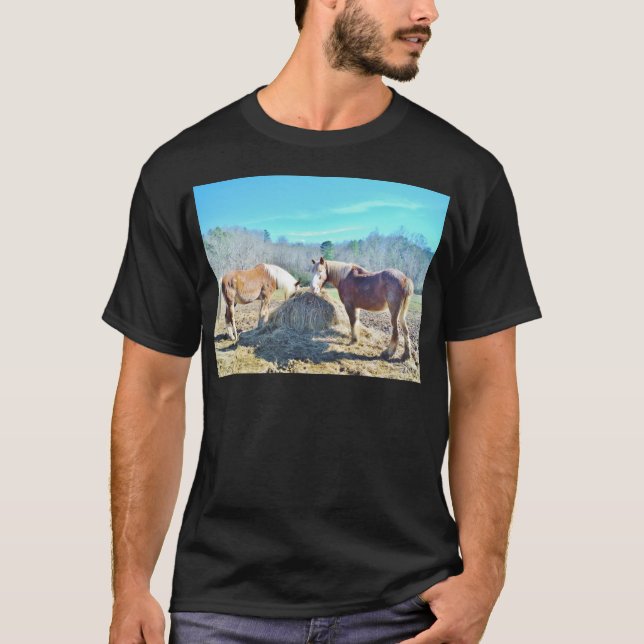 Camiseta Rescatados Caballos Borradores comiendo heno (Anverso)