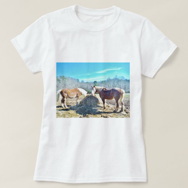 Camiseta Rescatados Caballos Borradores comiendo heno (Diseño del anverso)