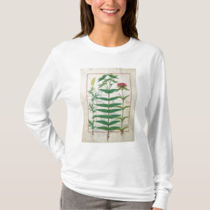 Camiseta Reseda, euforbio y clavel