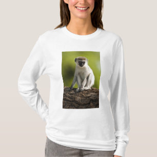 Camiseta Reserva de caza Samburu, Kenia, mono vervet,