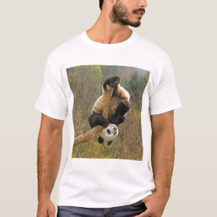 Camiseta Reserva de pandas de Wolong, China, 2 años y medio