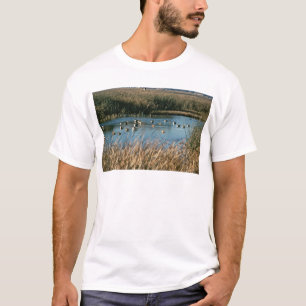 Camiseta Reserva del nacional de Sacramento