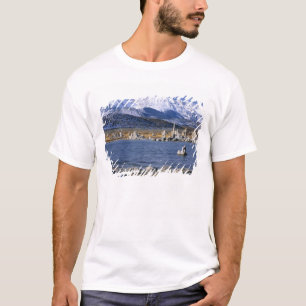 CAMISETA RESERVA NATURAL DEL ESTADO DE TUFA DEL LAGO MONO,