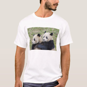 Camiseta Reserva Wolong, China, Oso panda gigante abrazando
