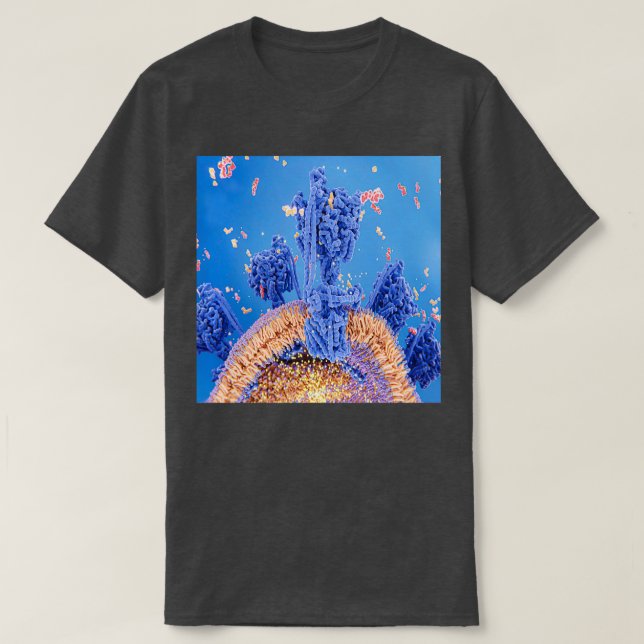 Camiseta respiración celular en la membrana mitocondrial (Diseño del anverso)