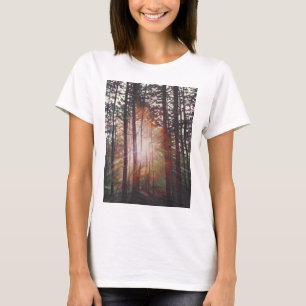 Camiseta Resplandor solar 2010