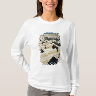 Camiseta Restos de casas