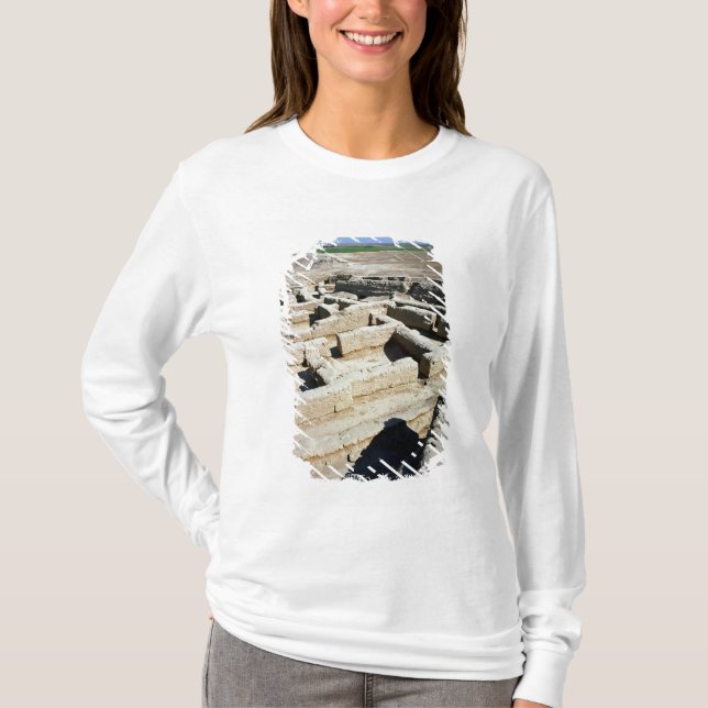 Camiseta Restos de casas (Anverso)
