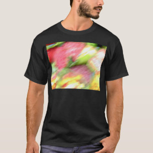 Camiseta Resumen
