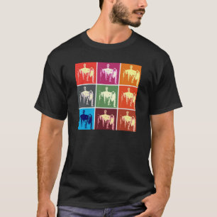 Camiseta Resumen conmemorativo de Lincoln