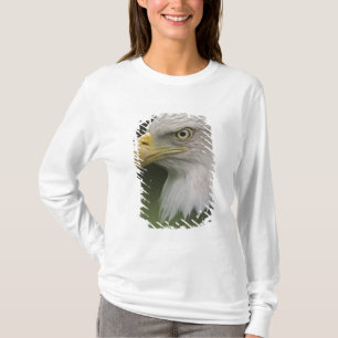 Camiseta Retrato de águila calva adulta, Haliaeetus