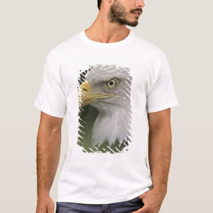 Camiseta Retrato de águila calva adulta, Haliaeetus