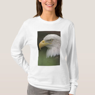 Camiseta Retrato de águila calva adulta, Haliaeetus