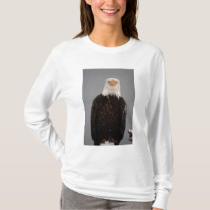 Camiseta Retrato de águila calva en la nieve, Haliaetus